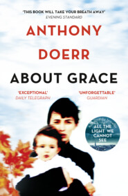 бесплатно читать книгу About Grace автора Anthony Doerr