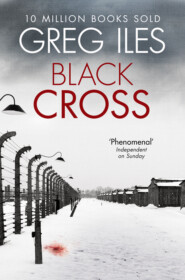 бесплатно читать книгу Black Cross автора Greg Iles