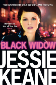 бесплатно читать книгу Black Widow автора Jessie Keane