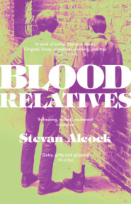 бесплатно читать книгу Blood Relatives автора Stevan Alcock