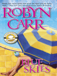 бесплатно читать книгу Blue Skies автора Робин Карр