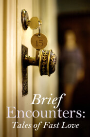 бесплатно читать книгу Brief Encounters автора Various 