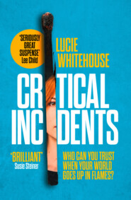 бесплатно читать книгу Critical Incidents автора Lucie Whitehouse