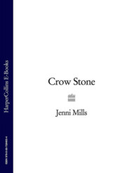 бесплатно читать книгу Crow Stone автора Jenni Mills