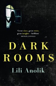 бесплатно читать книгу Dark Rooms автора Lili Anolik