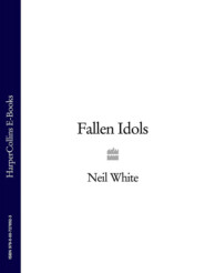 бесплатно читать книгу FALLEN IDOLS автора Neil White