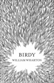 бесплатно читать книгу Birdy автора Уильям Уортон