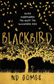 бесплатно читать книгу Blackbird автора N.D. Gomes