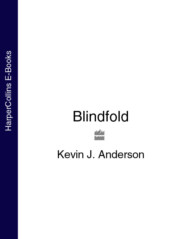 бесплатно читать книгу Blindfold автора Kevin Anderson