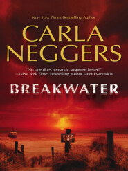 бесплатно читать книгу Breakwater автора Carla Neggers