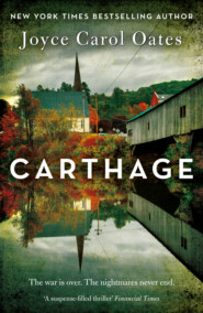 бесплатно читать книгу Carthage автора Joyce Oates