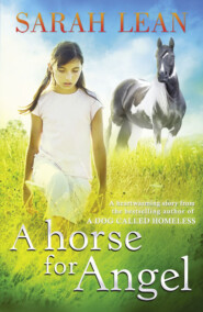 бесплатно читать книгу A HORSE FOR ANGEL автора Sarah Lean