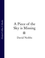 бесплатно читать книгу A Piece of the Sky is Missing автора David Nobbs