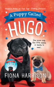 бесплатно читать книгу A Puppy Called Hugo автора Fiona Harrison