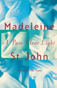 бесплатно читать книгу A Pure Clear Light автора Madeleine John
