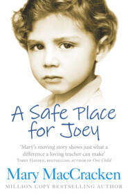 бесплатно читать книгу A Safe Place for Joey автора Mary MacCracken