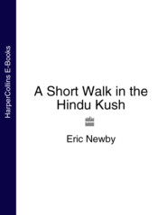 бесплатно читать книгу A Short Walk in the Hindu Kush автора Eric Newby