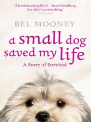 бесплатно читать книгу A Small Dog Saved My Life автора Bel Mooney