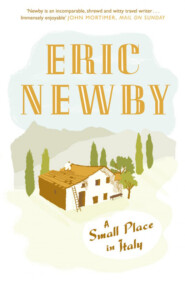 бесплатно читать книгу A Small Place in Italy автора Eric Newby