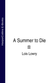 бесплатно читать книгу A Summer to Die автора Lois Lowry