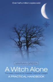 бесплатно читать книгу A Witch Alone: Thirteen moons to master natural magic автора Marian Green