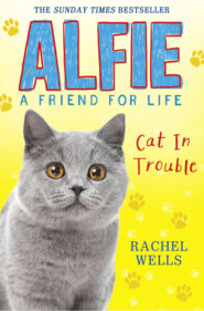 бесплатно читать книгу Alfie Cat In Trouble автора Rachel Wells