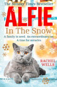 бесплатно читать книгу Alfie in the Snow автора Rachel Wells