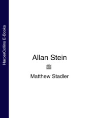 бесплатно читать книгу Allan Stein автора Matthew Stadler