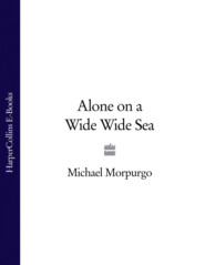 бесплатно читать книгу Alone on a Wide Wide Sea автора Michael Morpurgo