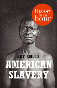 бесплатно читать книгу American Slavery: History in an Hour автора Kat Smutz