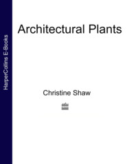 бесплатно читать книгу Architectural Plants автора Christine Shaw