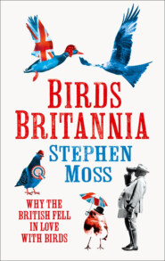 бесплатно читать книгу Birds Britannia автора Stephen Moss