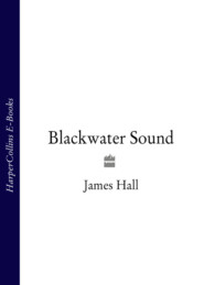 бесплатно читать книгу Blackwater Sound автора James Hall
