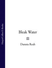 бесплатно читать книгу Bleak Water автора Danuta Reah