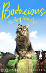 бесплатно читать книгу Bodacious: The Shepherd Cat автора Suzanna Crampton