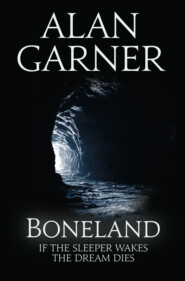 бесплатно читать книгу Boneland автора Alan Garner