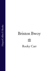 бесплатно читать книгу Brixton Bwoy автора Rocky Carr