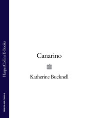 бесплатно читать книгу Canarino автора Katherine Bucknell