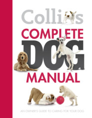 бесплатно читать книгу Collins Complete Dog Manual автора Collins Dictionaries