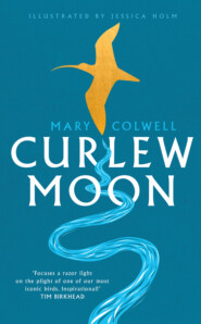 бесплатно читать книгу Curlew Moon автора Mary Colwell