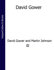 бесплатно читать книгу David Gower (Text Only) автора David Gower