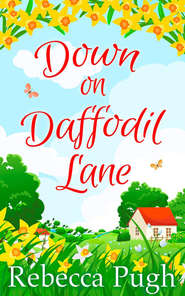 бесплатно читать книгу Down on Daffodil Lane автора Rebecca Pugh