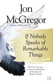 бесплатно читать книгу If Nobody Speaks of Remarkable Things автора Jon McGregor