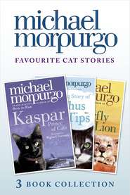 бесплатно читать книгу Favourite Cat Stories: The Amazing Story of Adolphus Tips, Kaspar and The Butterfly Lion автора Michael Morpurgo
