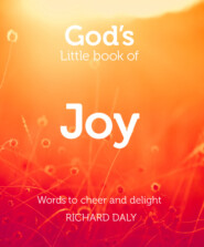 бесплатно читать книгу God’s Little Book of Joy автора Richard Daly