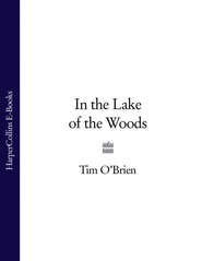бесплатно читать книгу In the Lake of the Woods автора Tim O’Brien