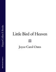 бесплатно читать книгу Little Bird of Heaven автора Joyce Oates