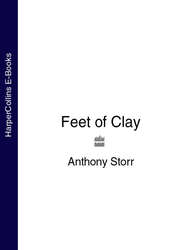 бесплатно читать книгу Feet of Clay автора Anthony Storr