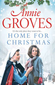 бесплатно читать книгу Home for Christmas автора Annie Groves