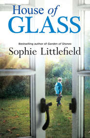 бесплатно читать книгу House of Glass автора Sophie Littlefield